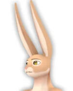 Skye - Rabbit