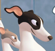 fancywhippet - Whippet