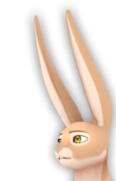 Skye - Rabbit